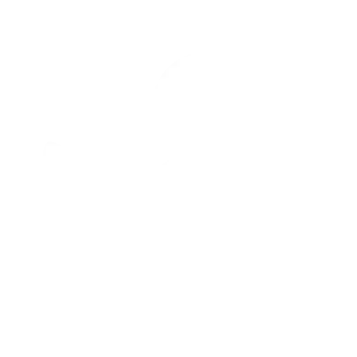 Red Playground duck